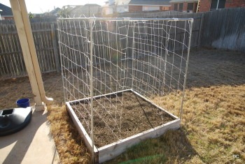 My vegetable garden